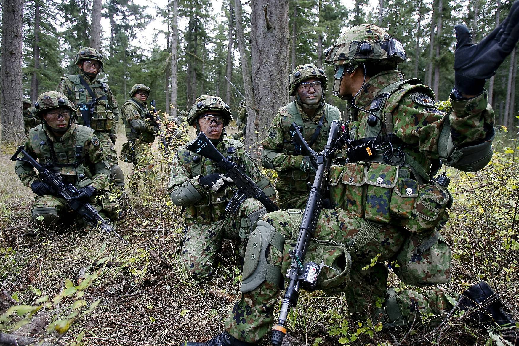 jgsdf_ftlewis